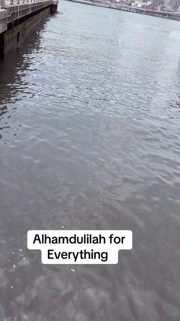@brooklynmuslimahrevert
