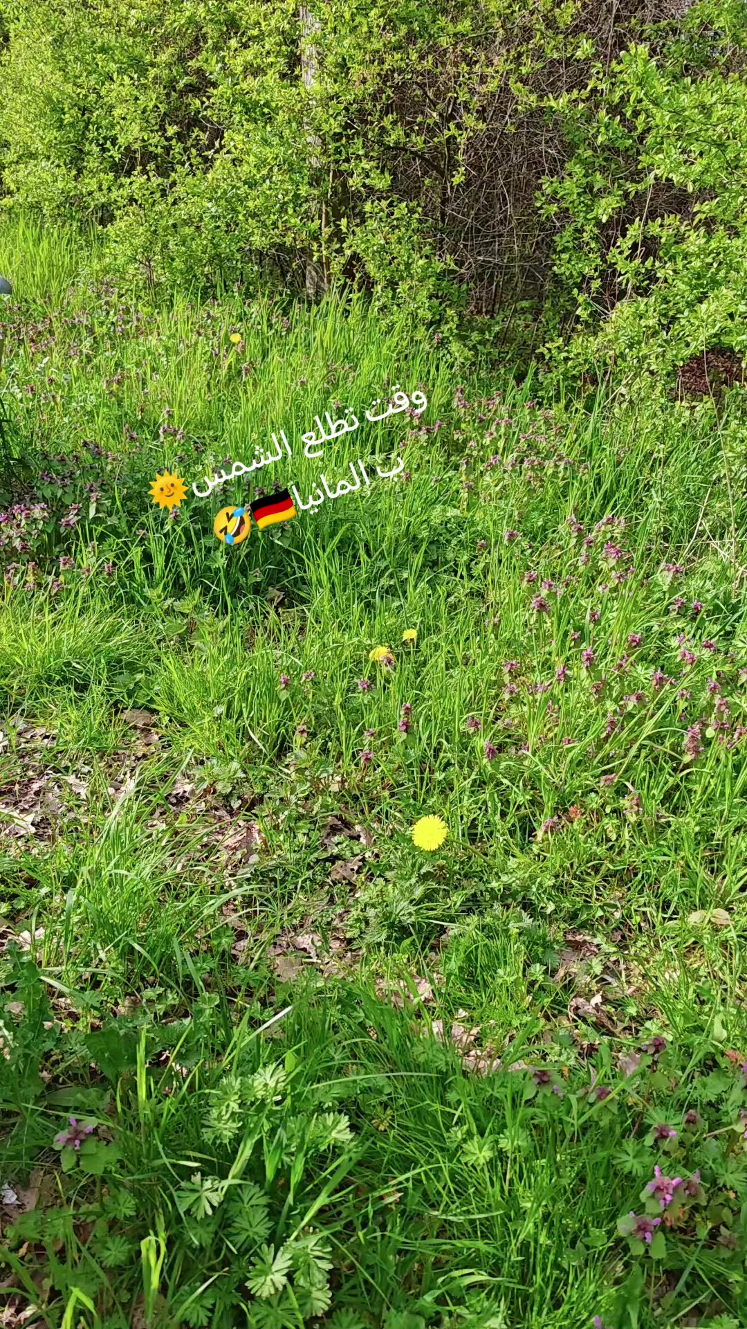 @Osama🇩🇪