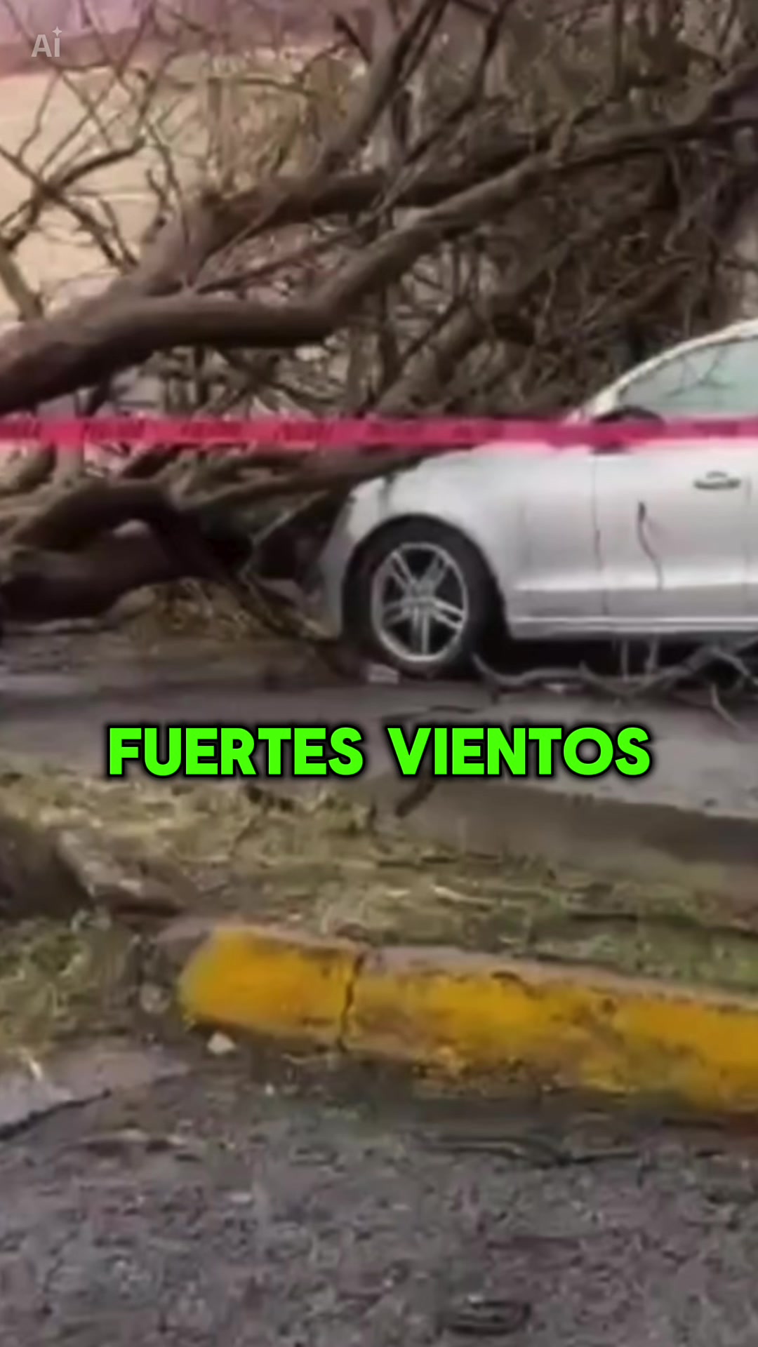 @Puebla en Linea