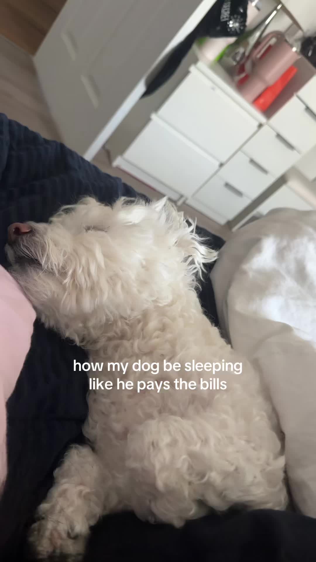 @Katelyn