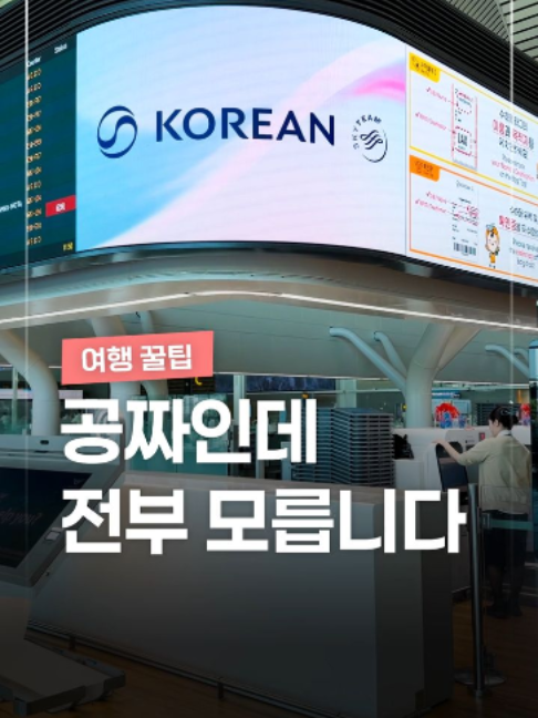 @짤컷