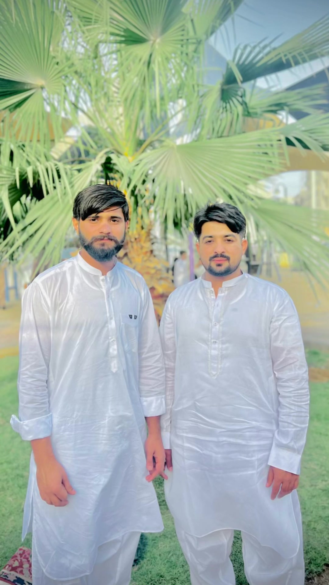 @چوھدری زین ہرل 222گروپ