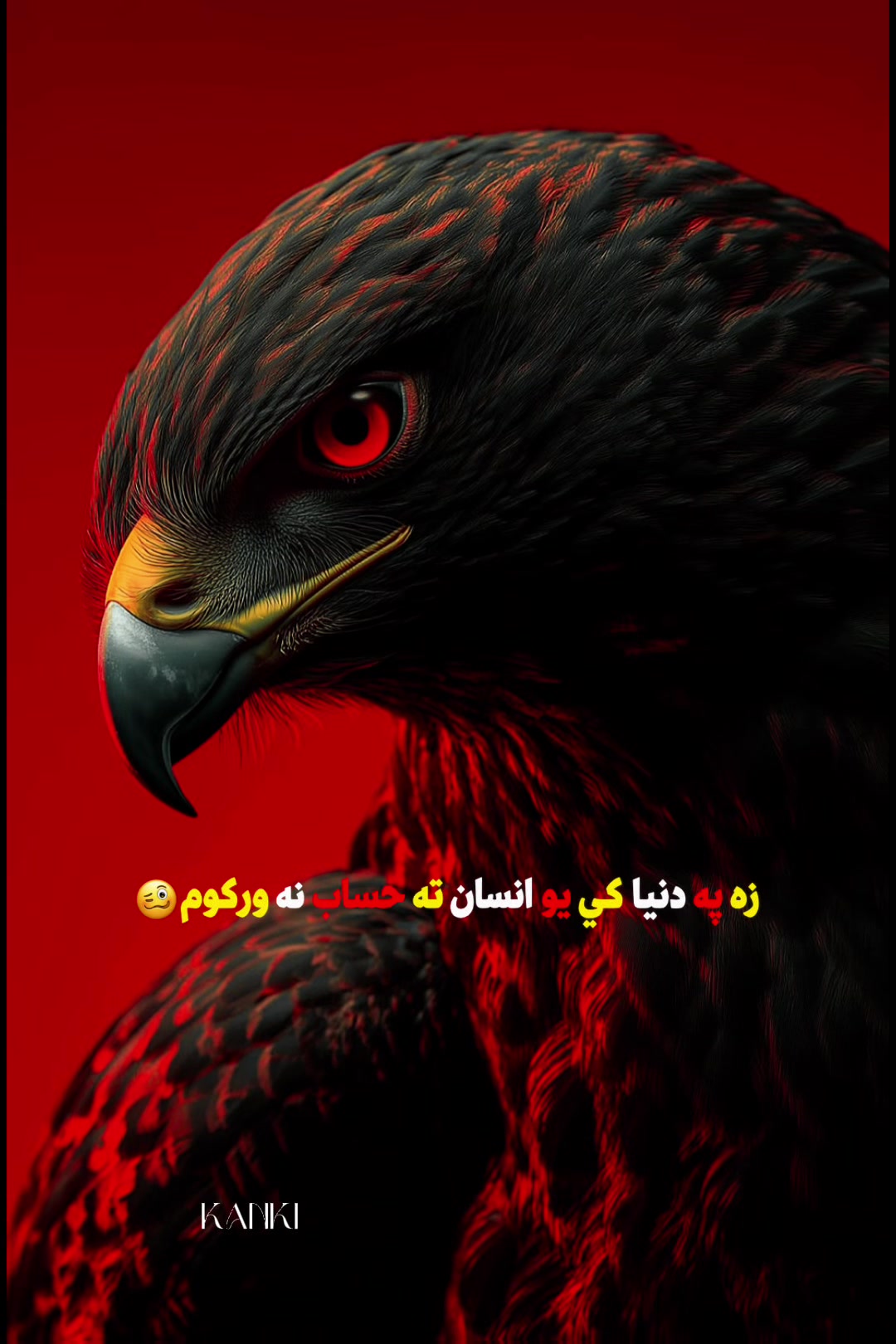 @SALAR KANKI