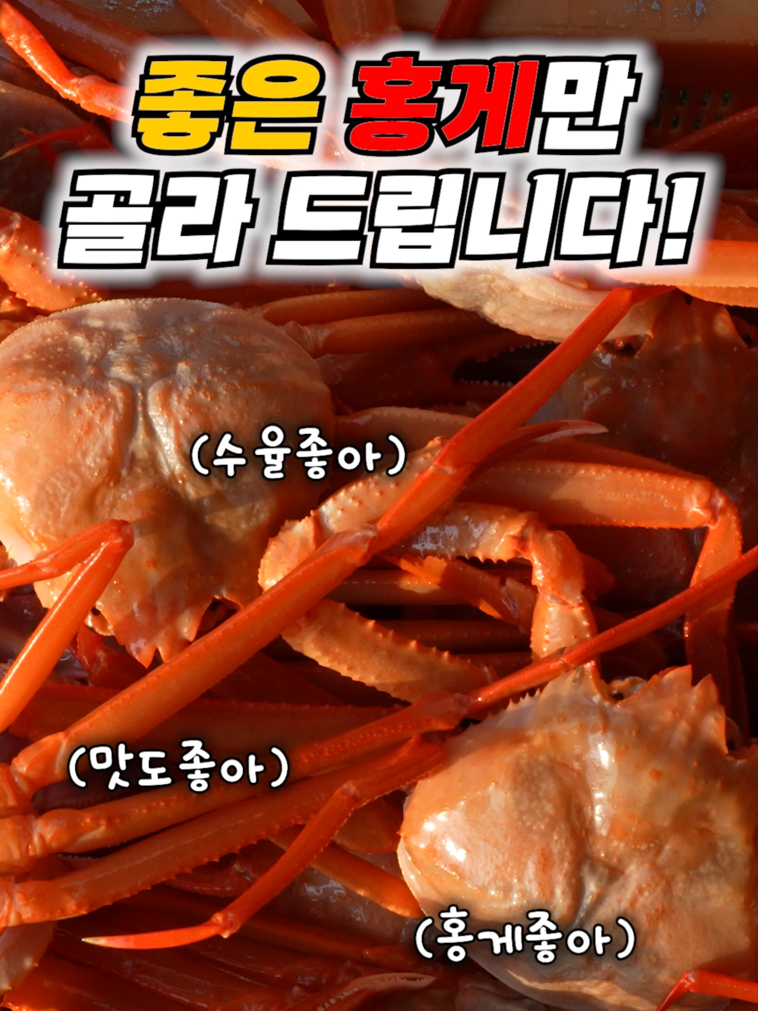 @싱싱헌터스