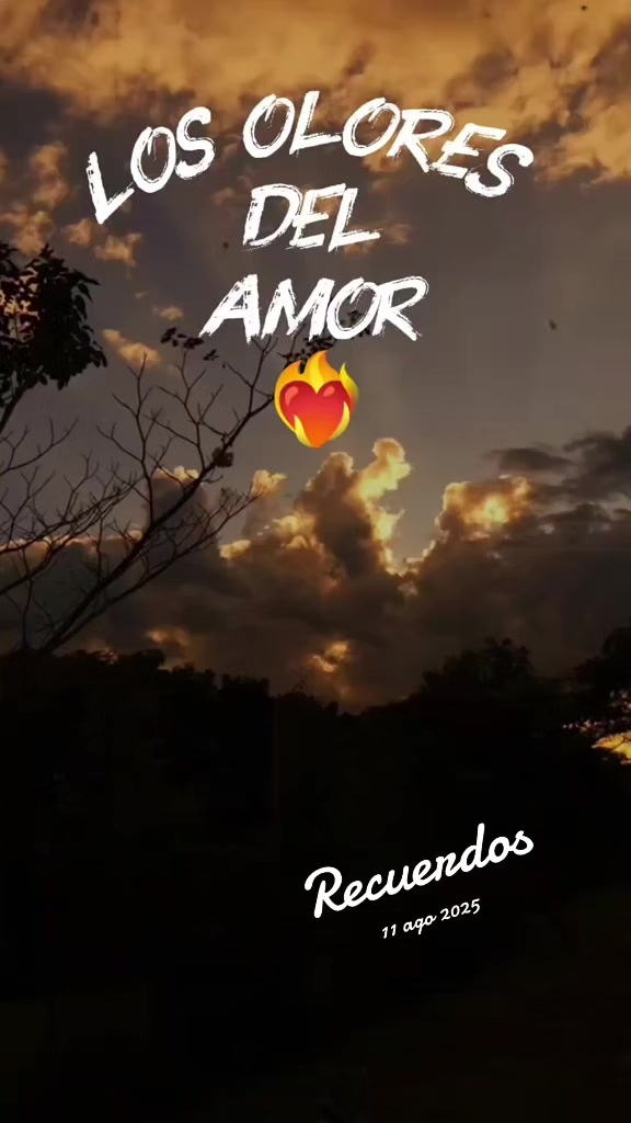 @.•♫•♬•Sαlѕαиαмα•♬•♫•.