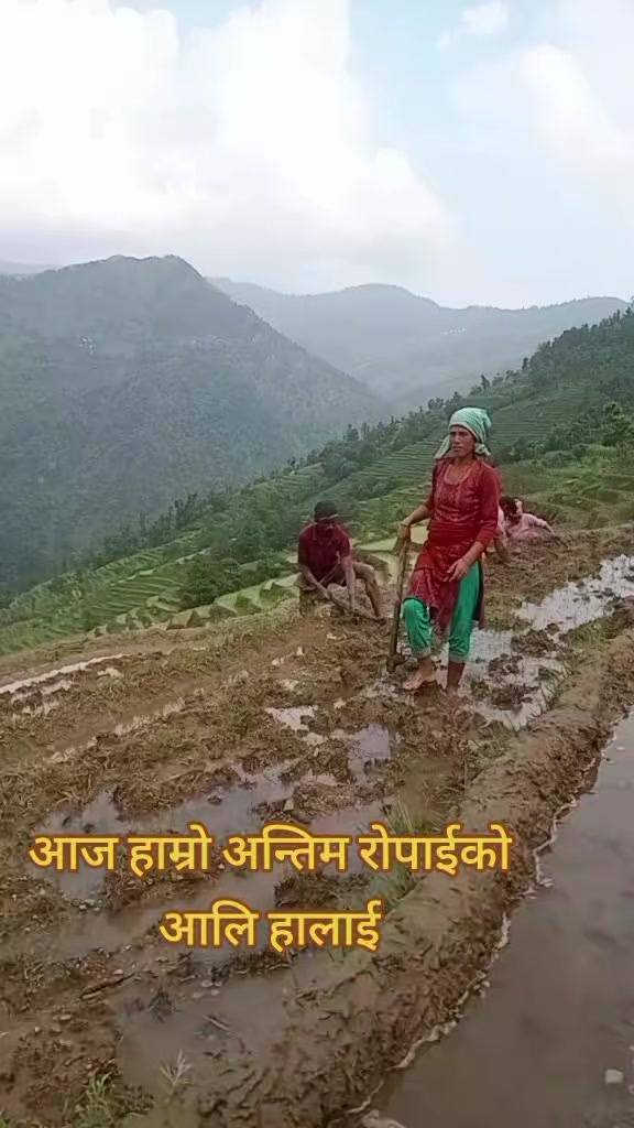 @Tr.Mahendra Shahi Thakuri