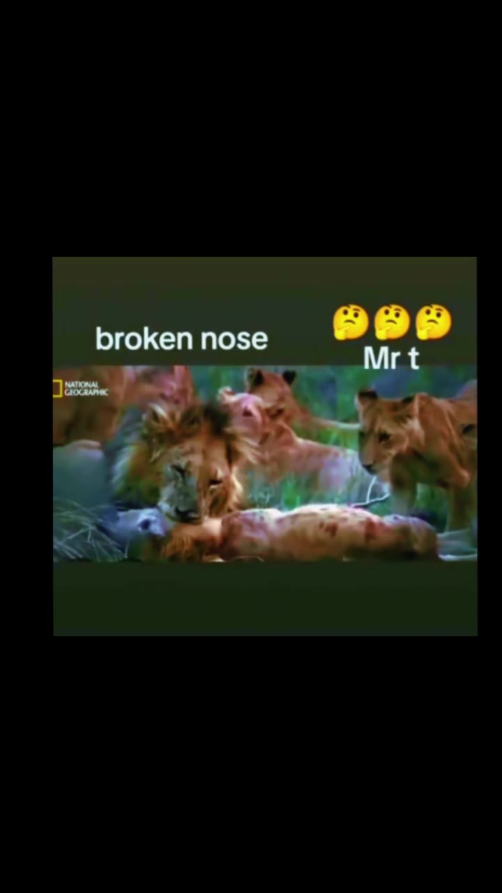 @KİNG MR.T