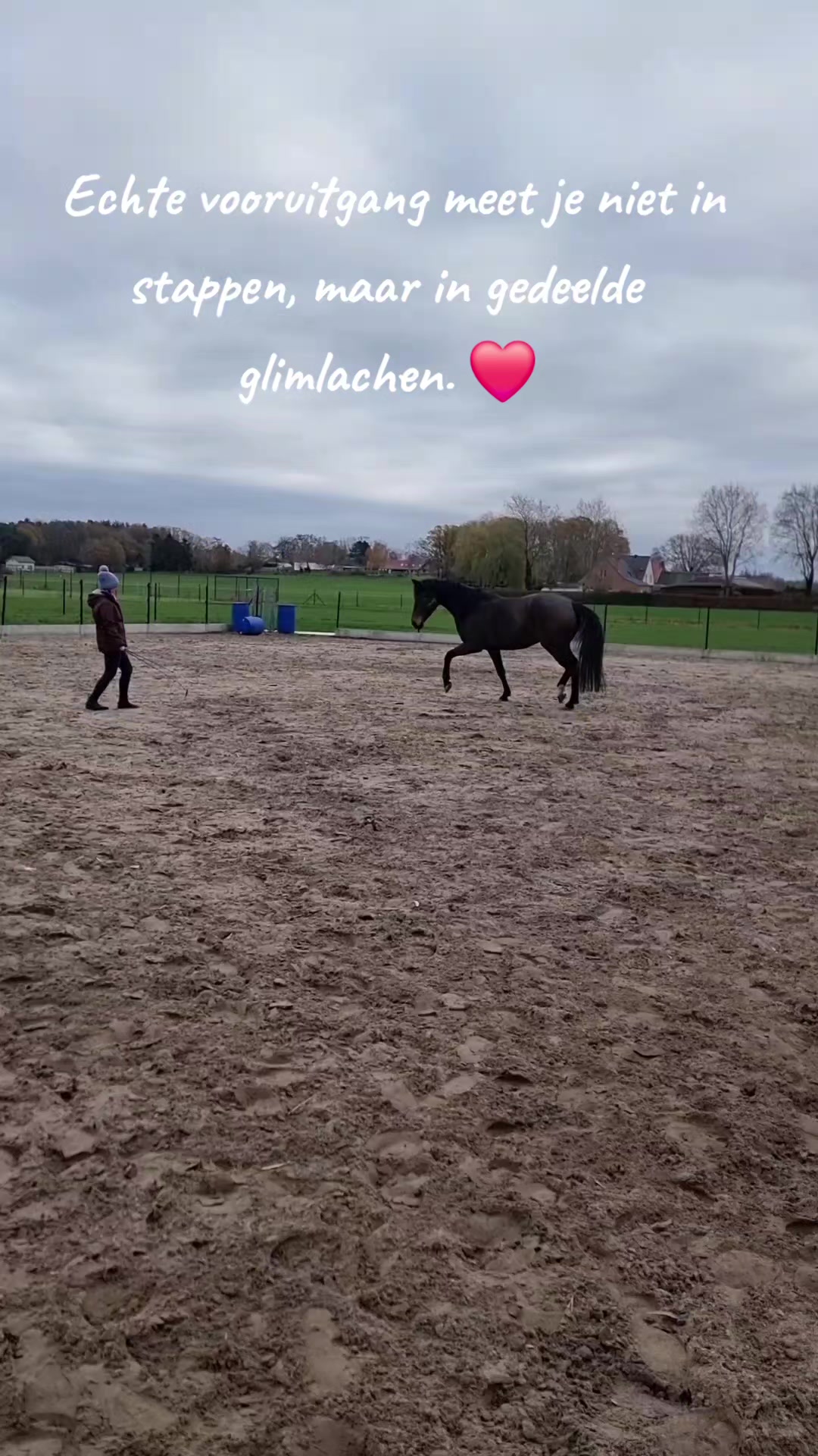 @Jessie De Reydt