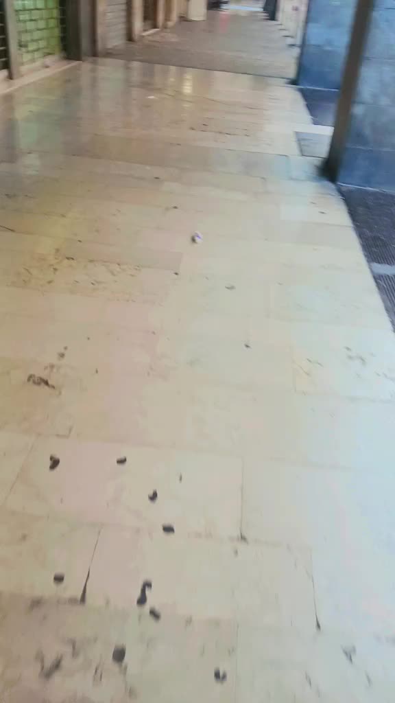 @chahsinvirk
