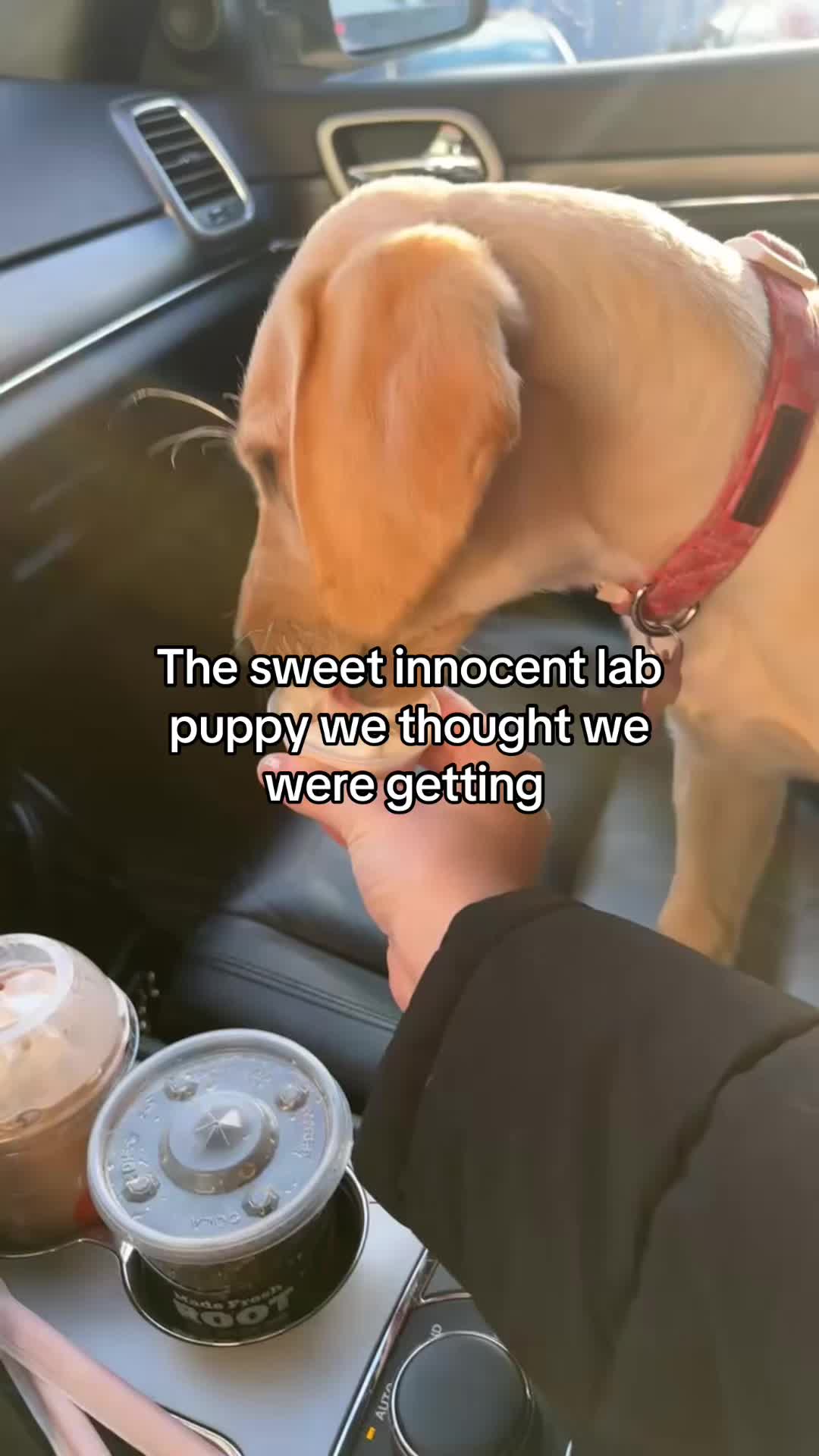 @Natalie