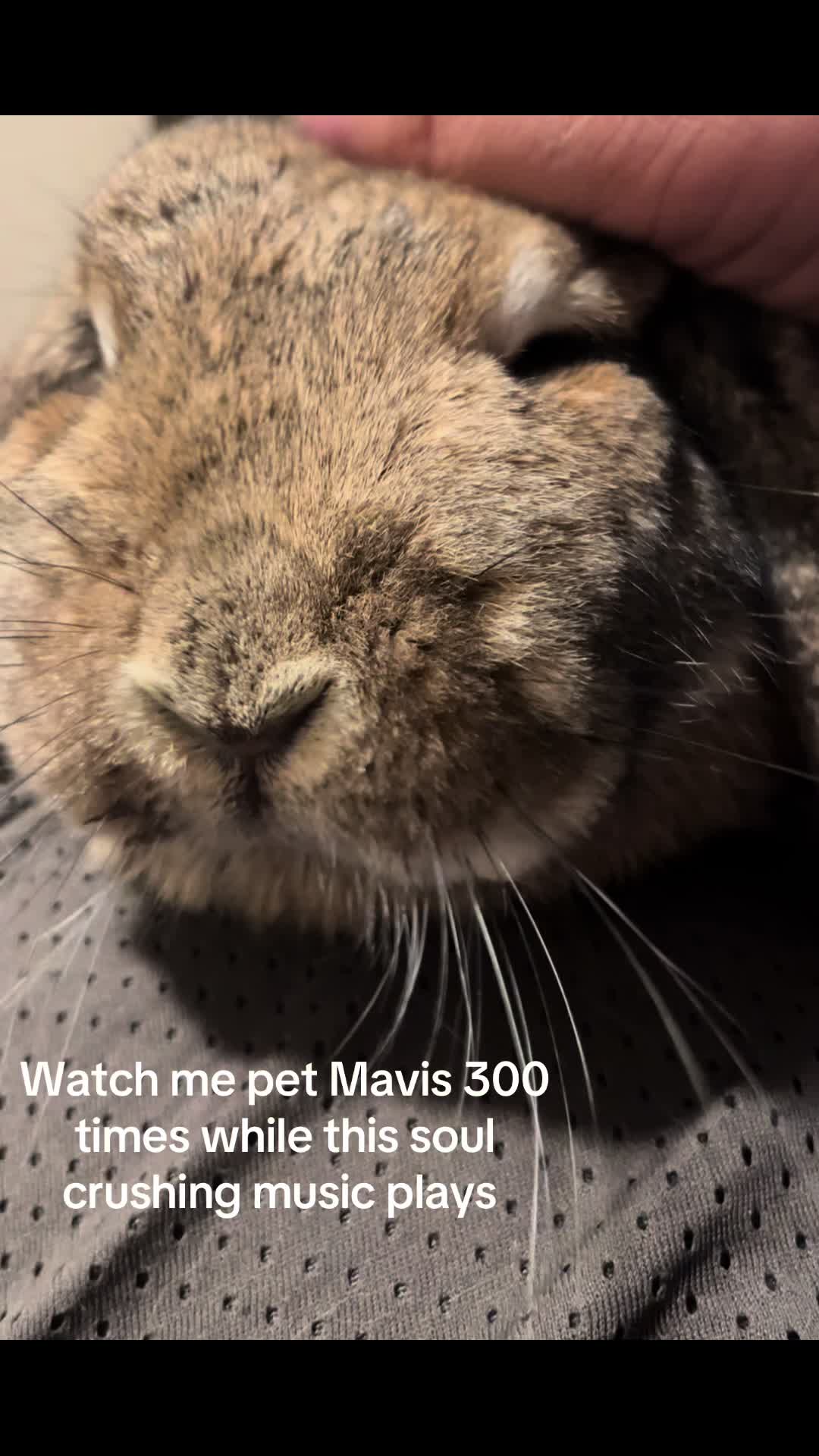 @Fadedbunny69