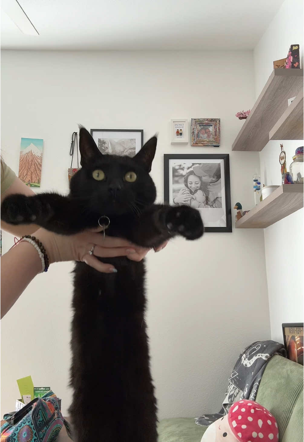 @Biggy smalls🐈⬛