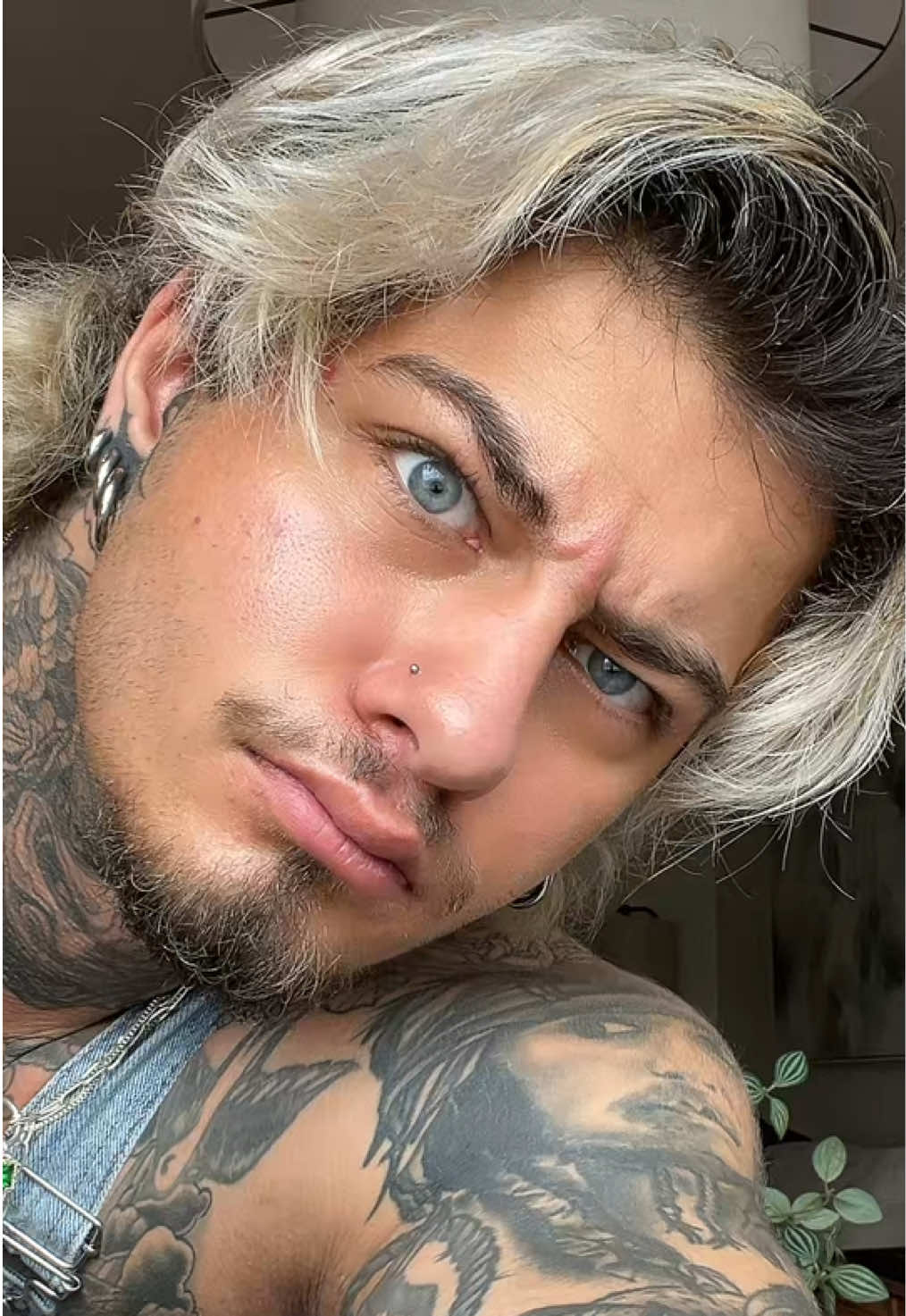 @Imwilliamdolan