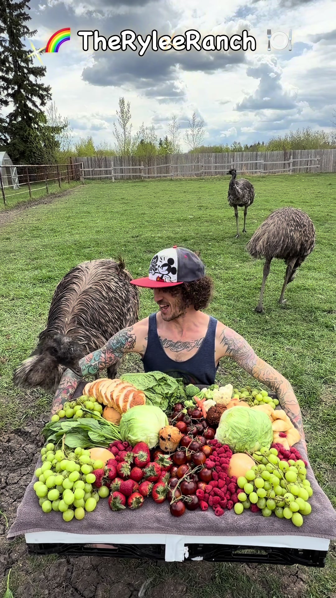 @RyleeRanch