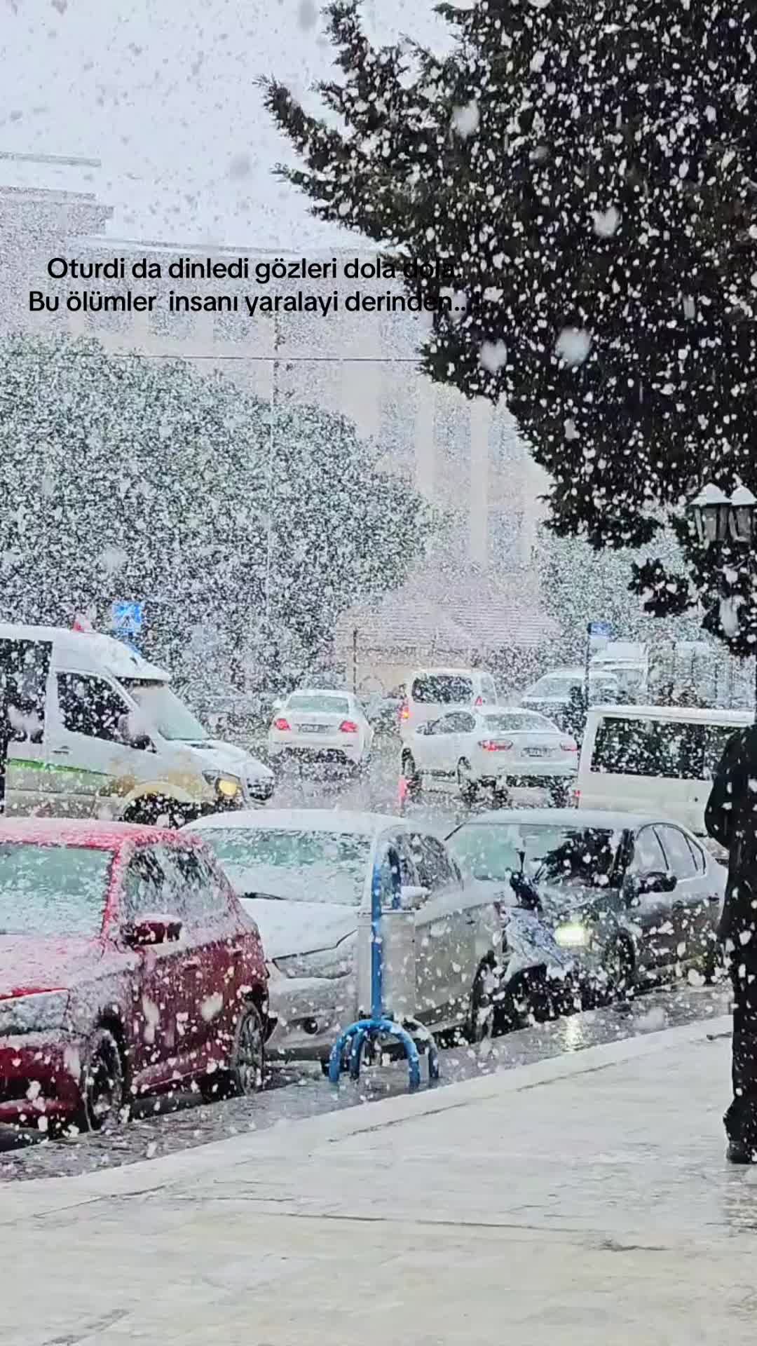 @Mücahit Özen