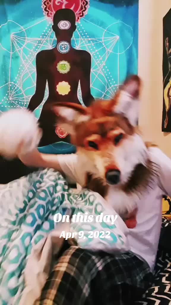 @SaltyFox