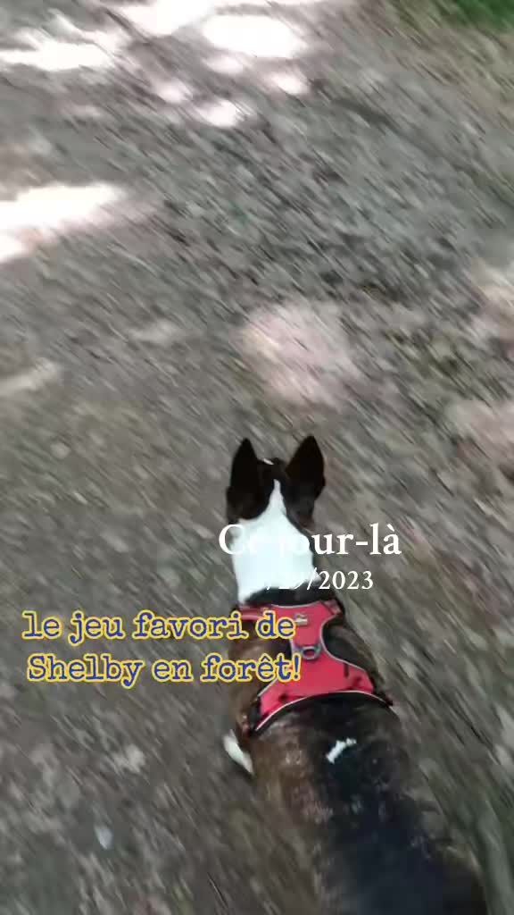 @Shelby_&_moi