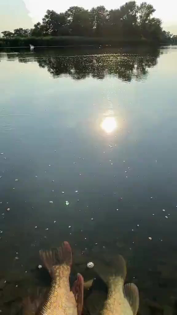 @☆ИванычЯ☆
