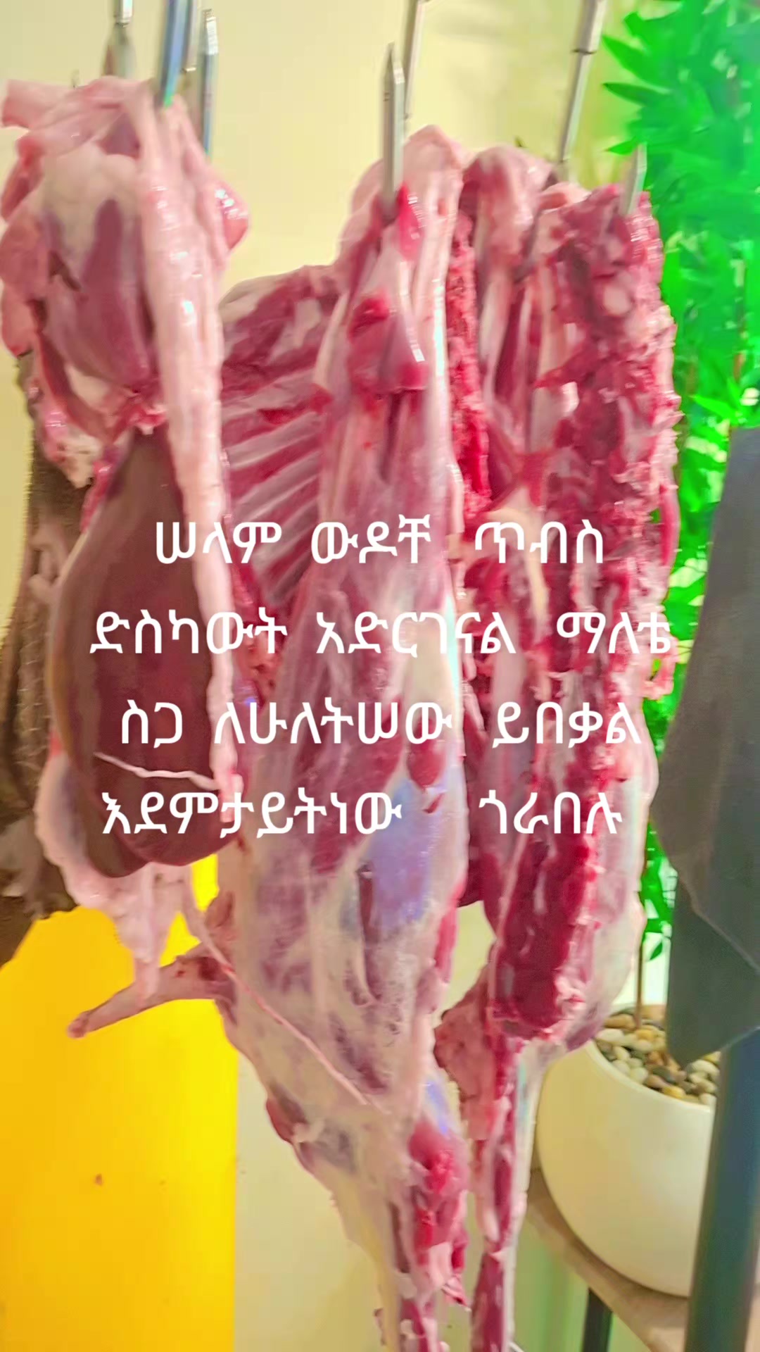 @ለማ ምግብ ቤት አድራሻ ጎይዛ
