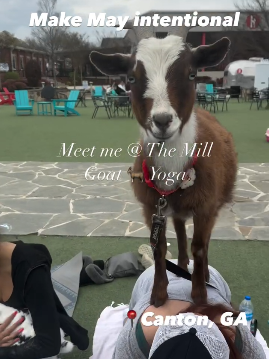 @Hidden Acres Animal Sanctuary