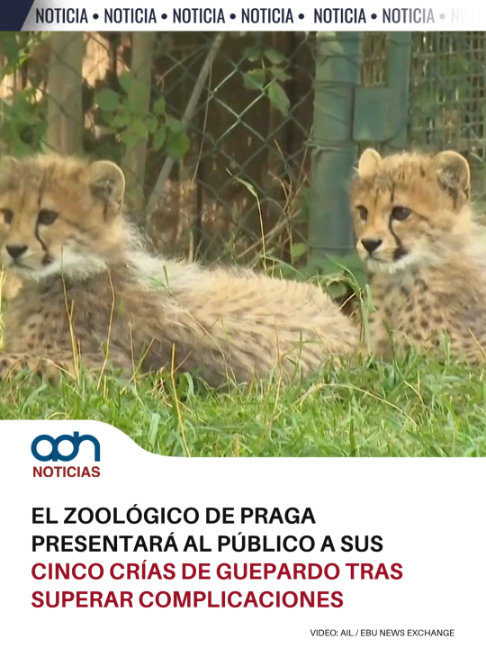 @adn Noticias