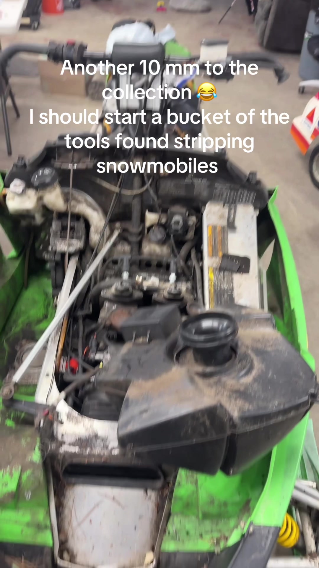 @Arcticcatmatt