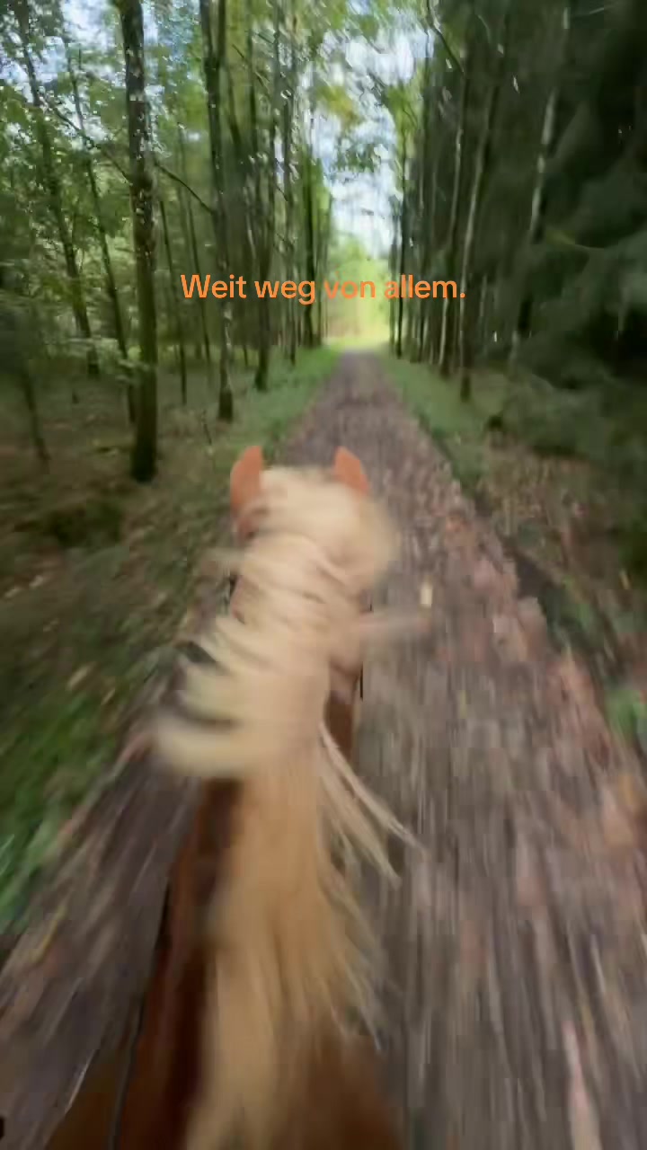 @ꪑꪖ᥅꠸ꫀ