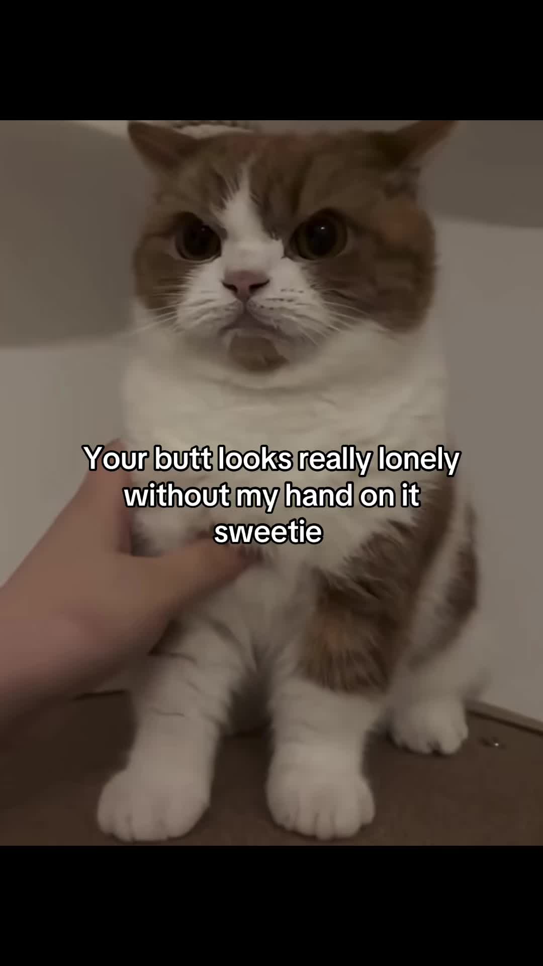 @Molly