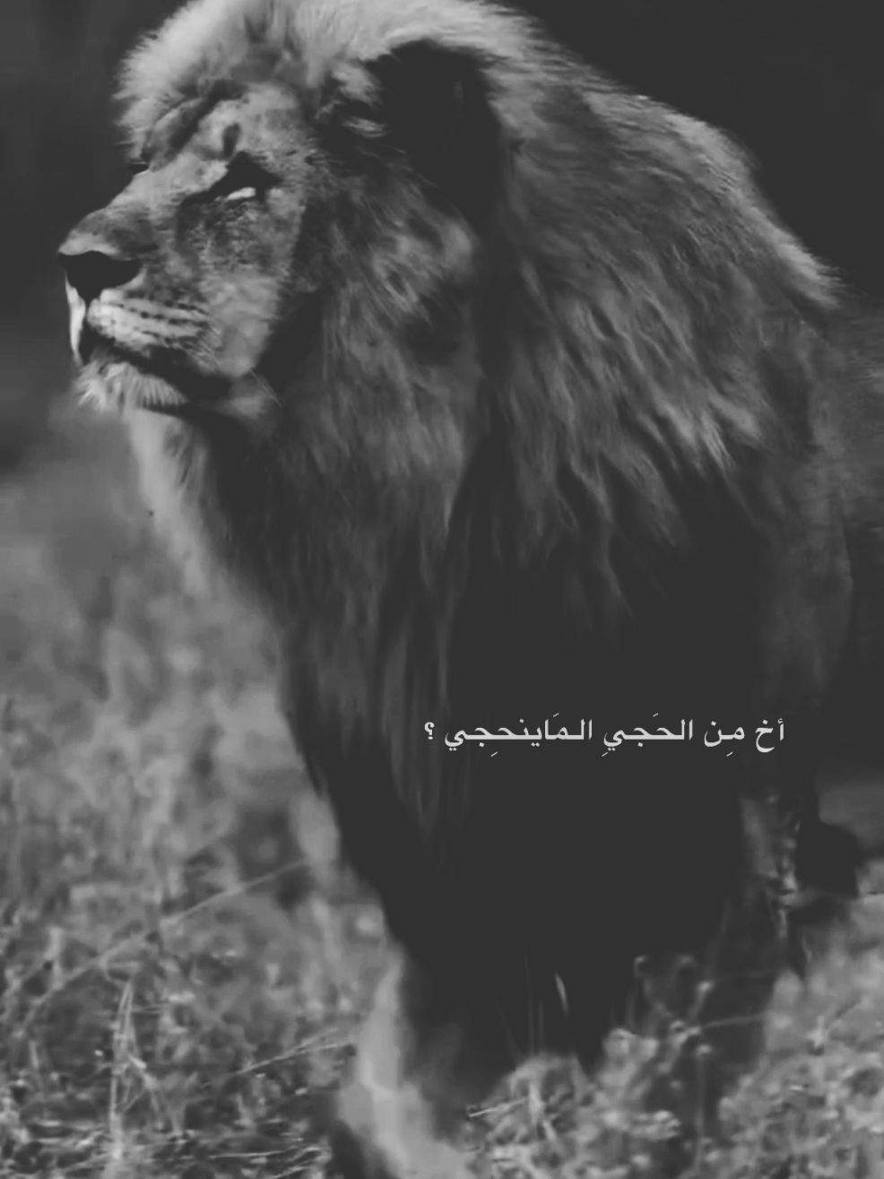 @⚜️👑الكاسح السوري👑⚜️
