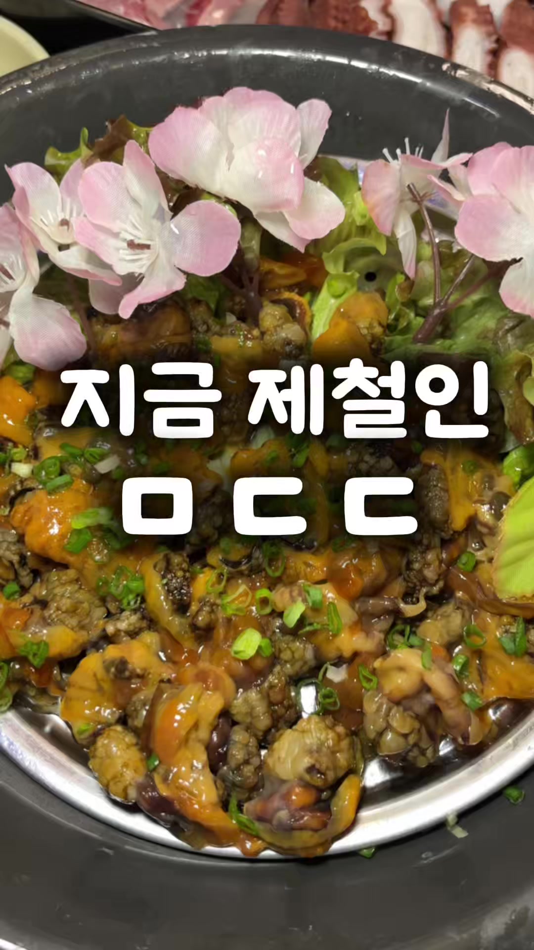 @창원 미도리
