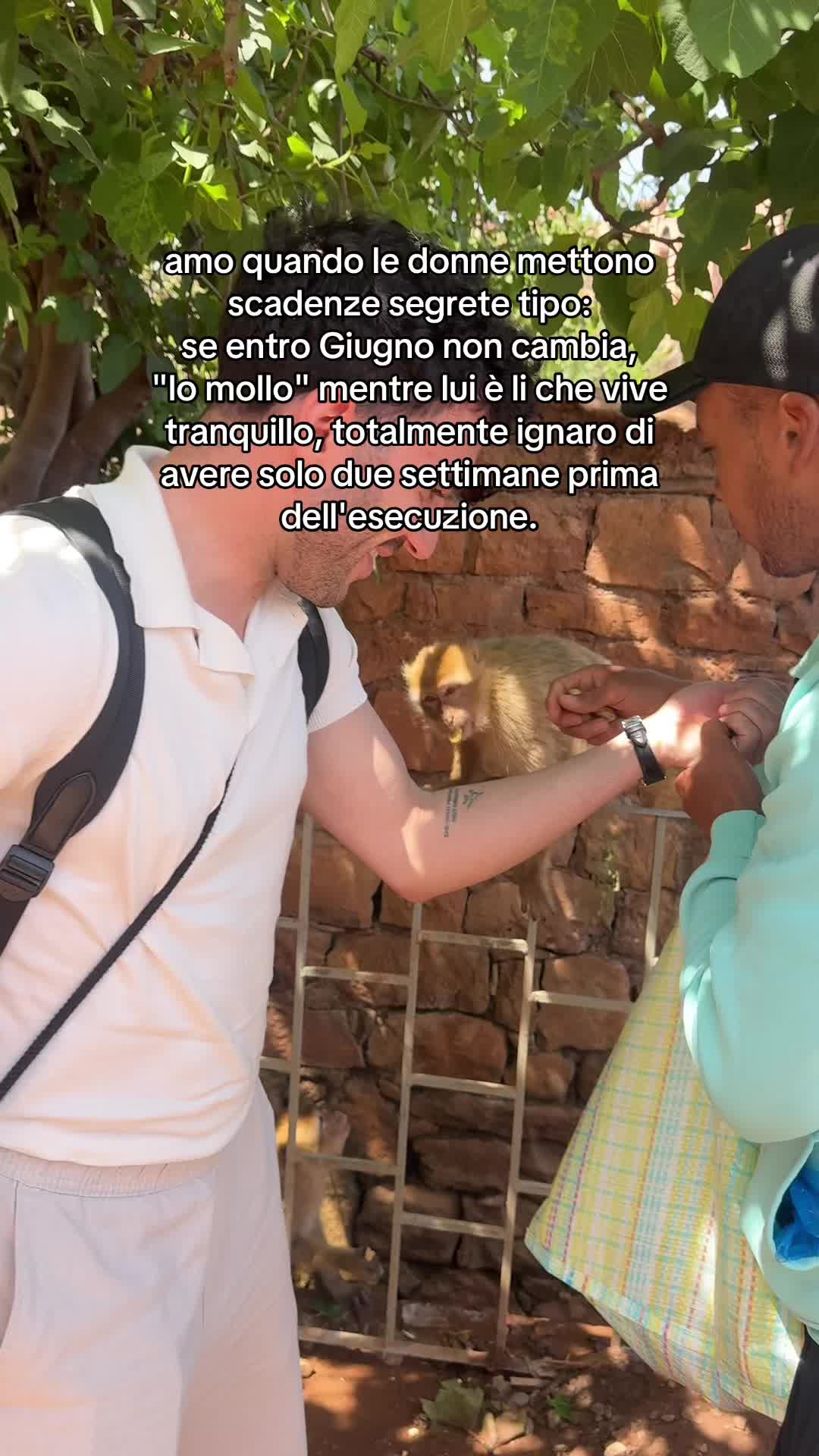 @coppiainprova