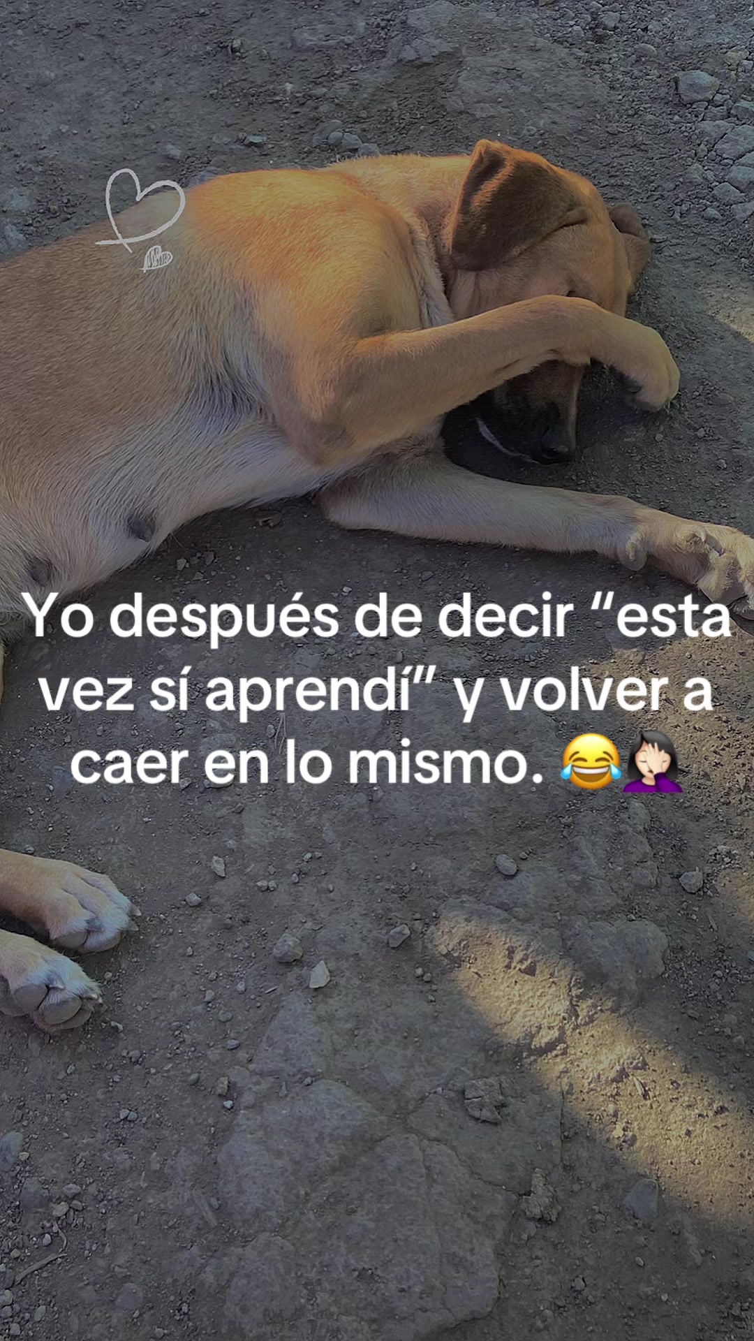 @Yani_☠️🖤🫧