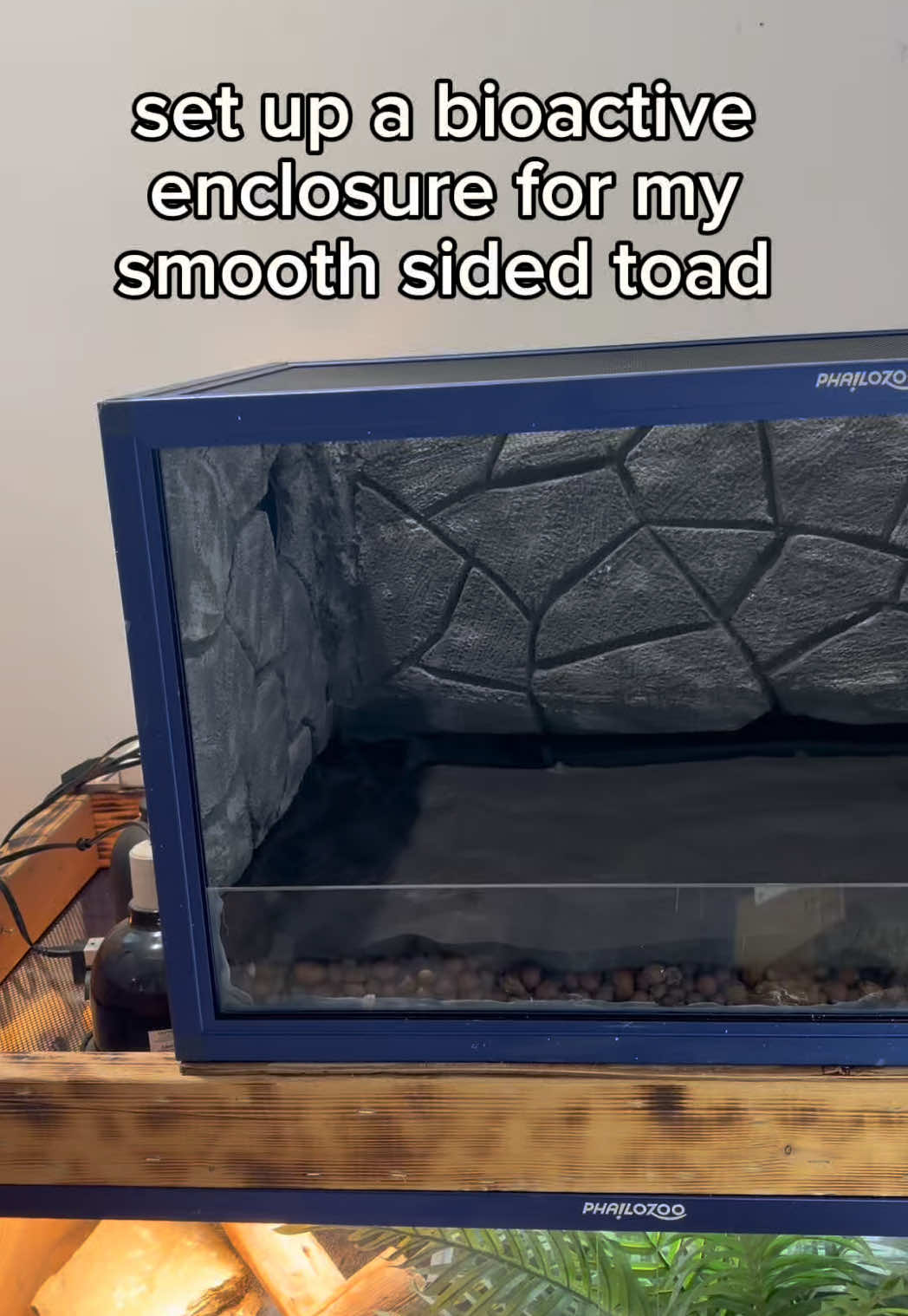 @layla🦎🍃