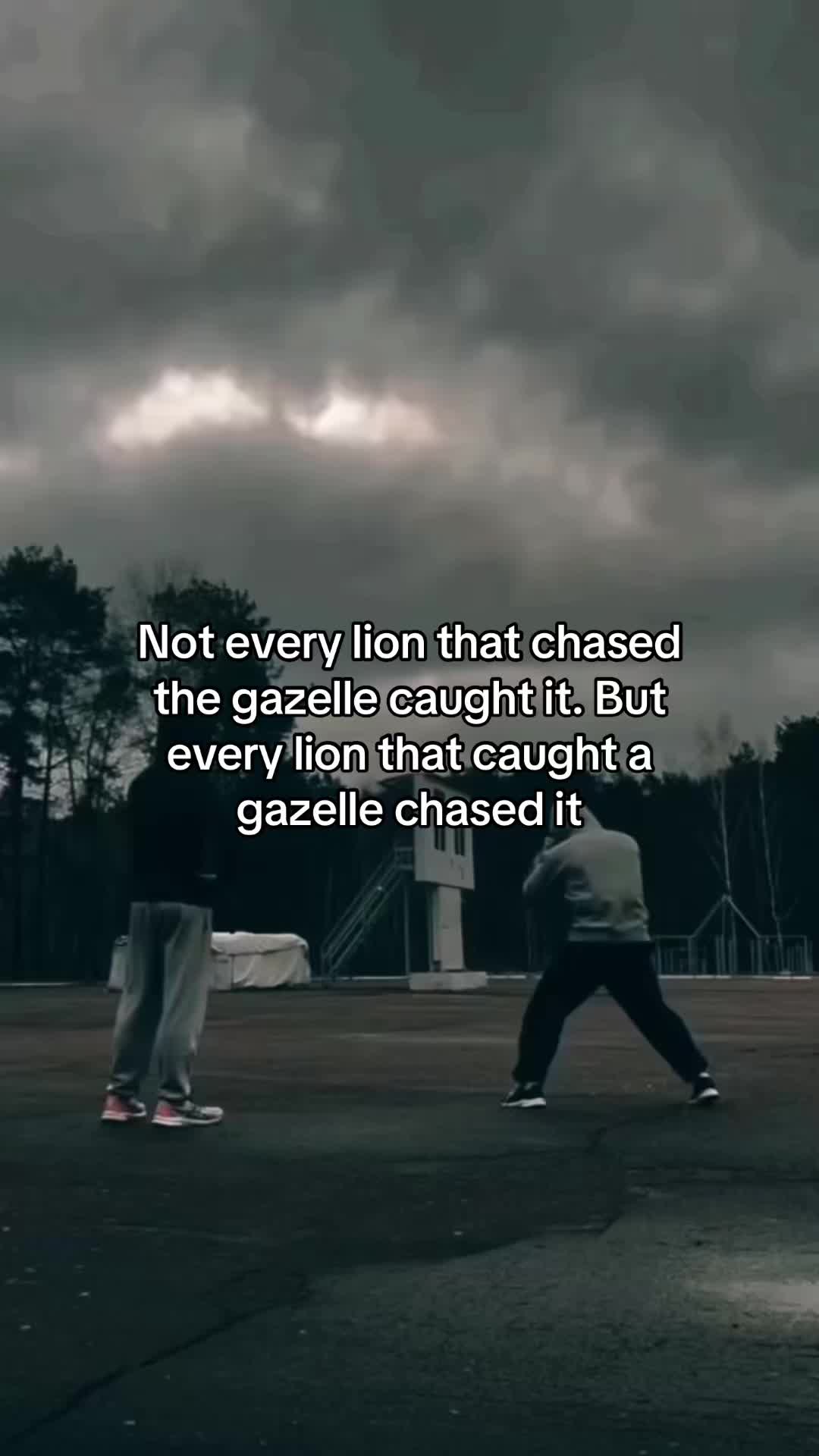 @Discipline OS