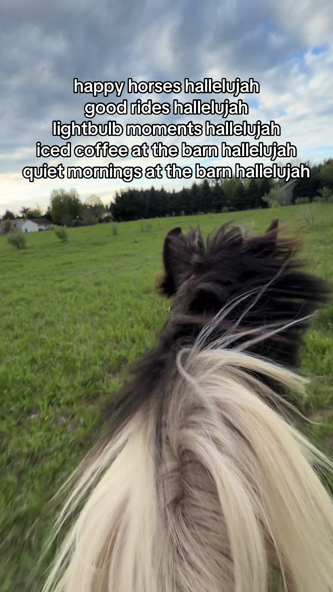 @Lorraine 🐴🩺
