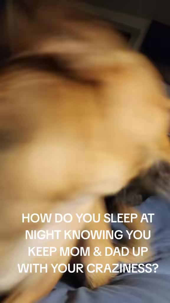 @Vinny and Chloe