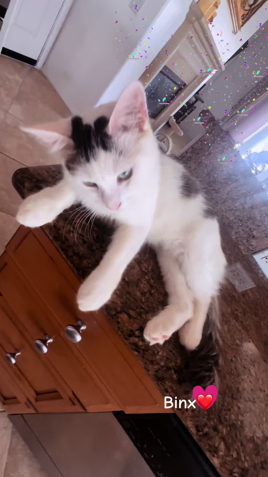@Ming 🐈