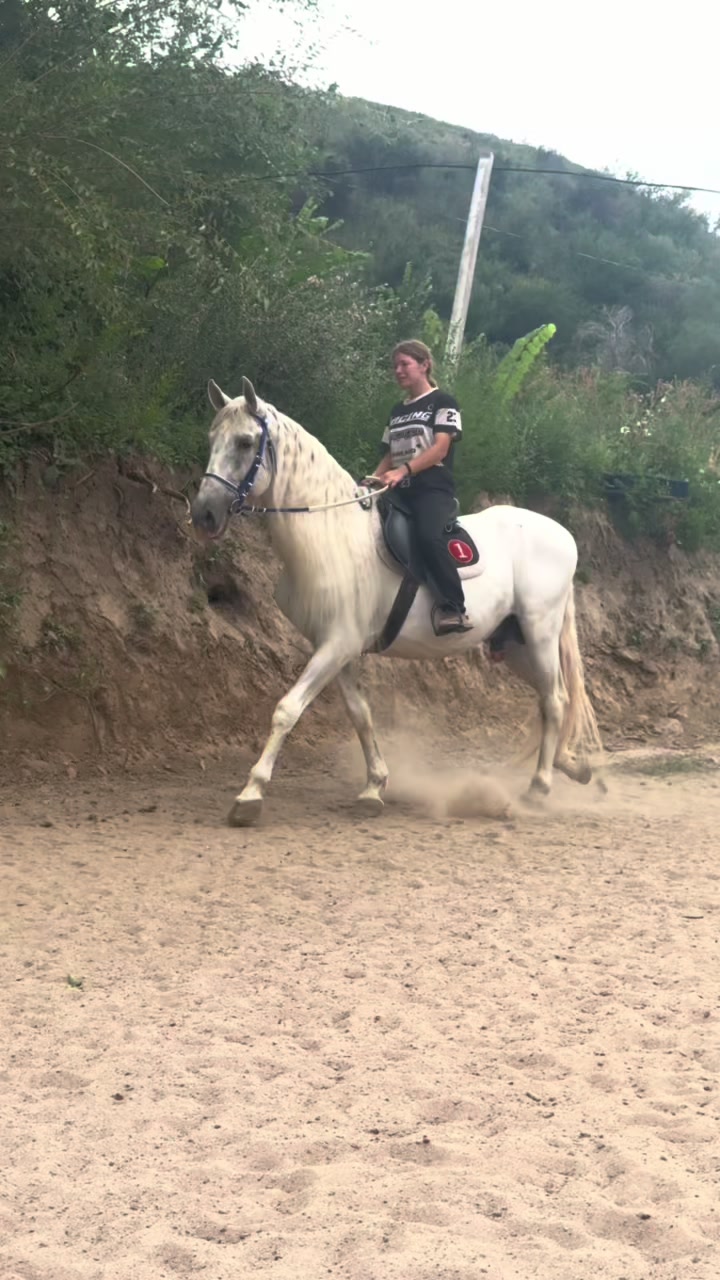 @🐎Ева🐎