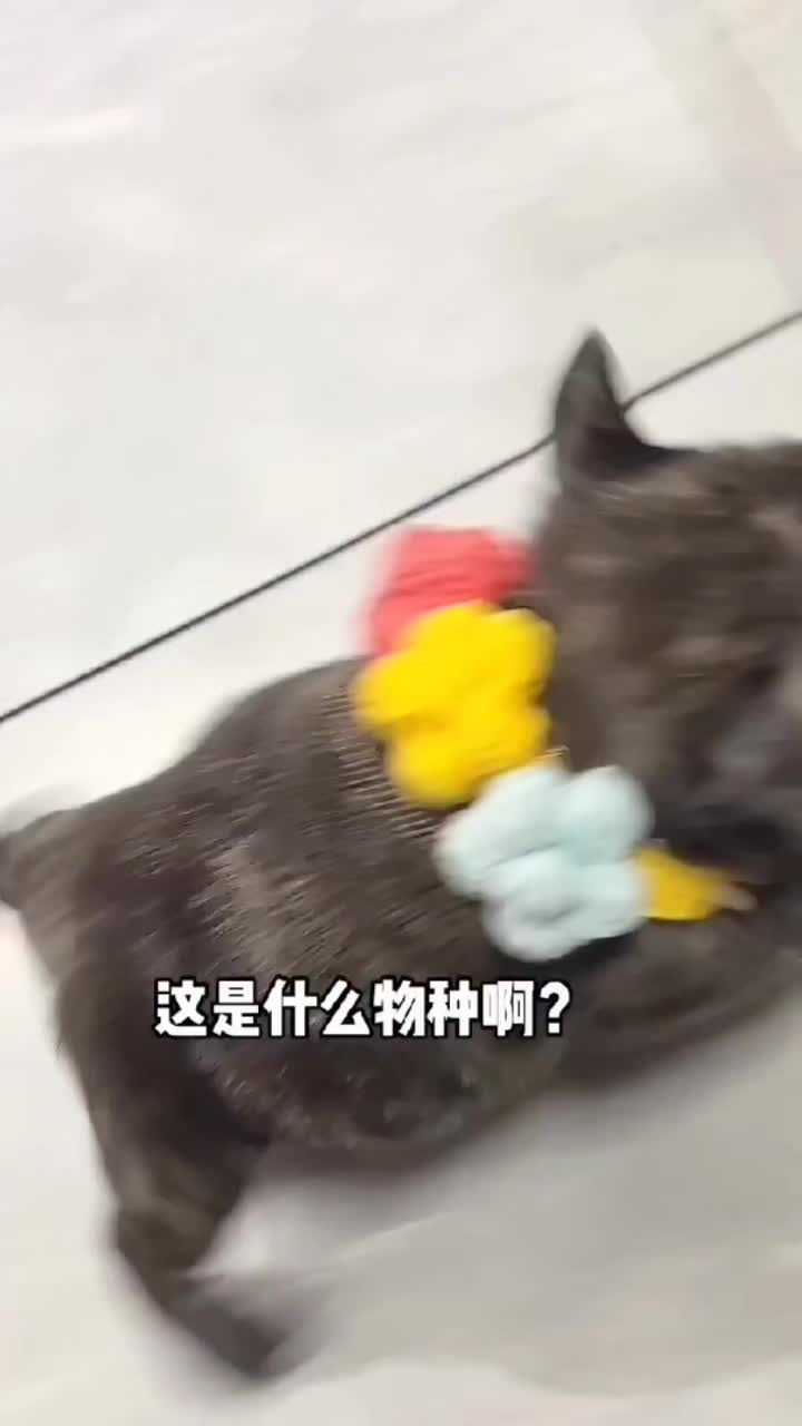 @MisterRobo