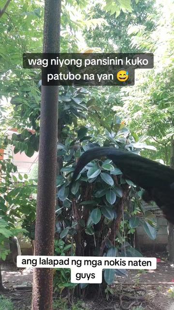 @kaymark alejandro