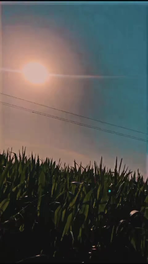 @manijut97