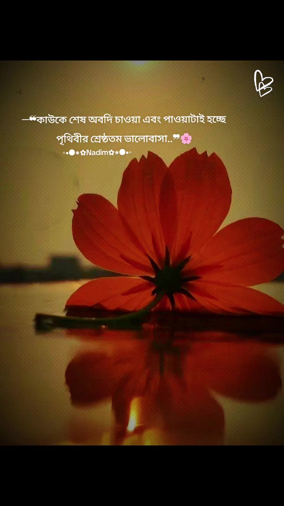 @◦•●◉✿Nadim ✿◉●•◦