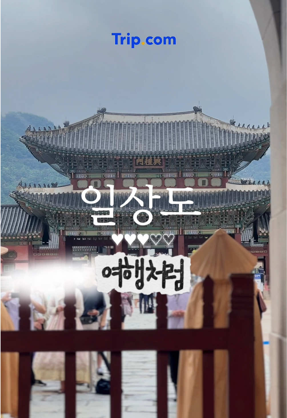 @뮤시아_오늘뭐찍지?