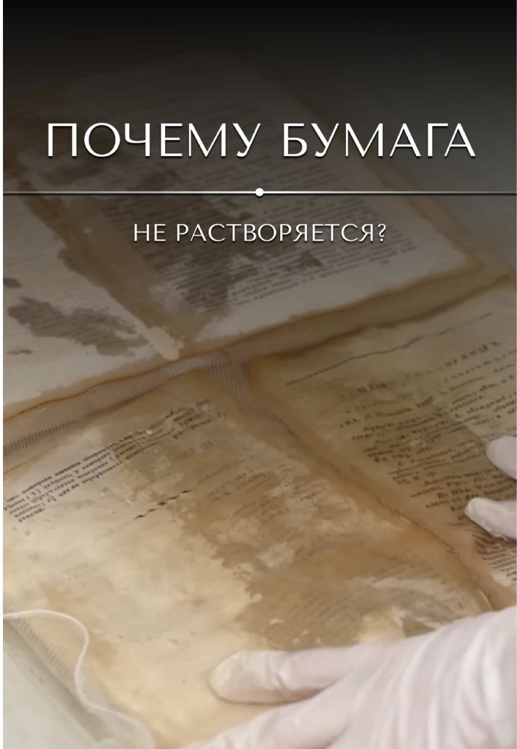 @&laquo;Ваш реставратор&raquo;