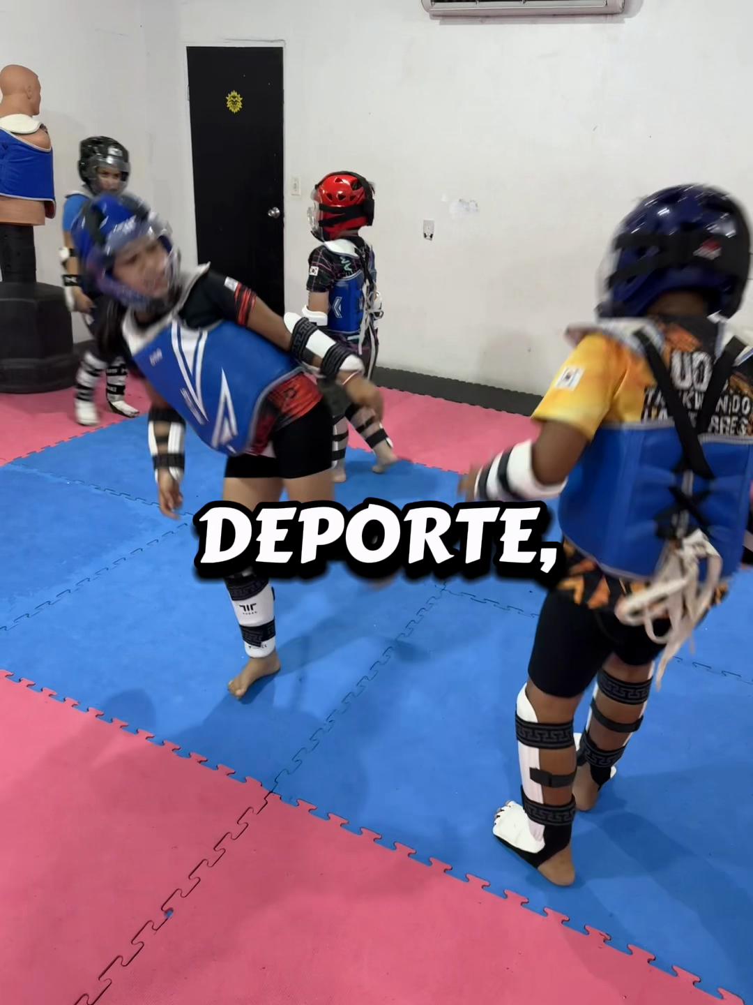 @taekwondolionsteam