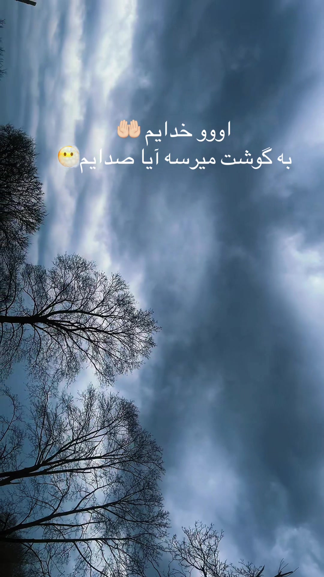 @Hani