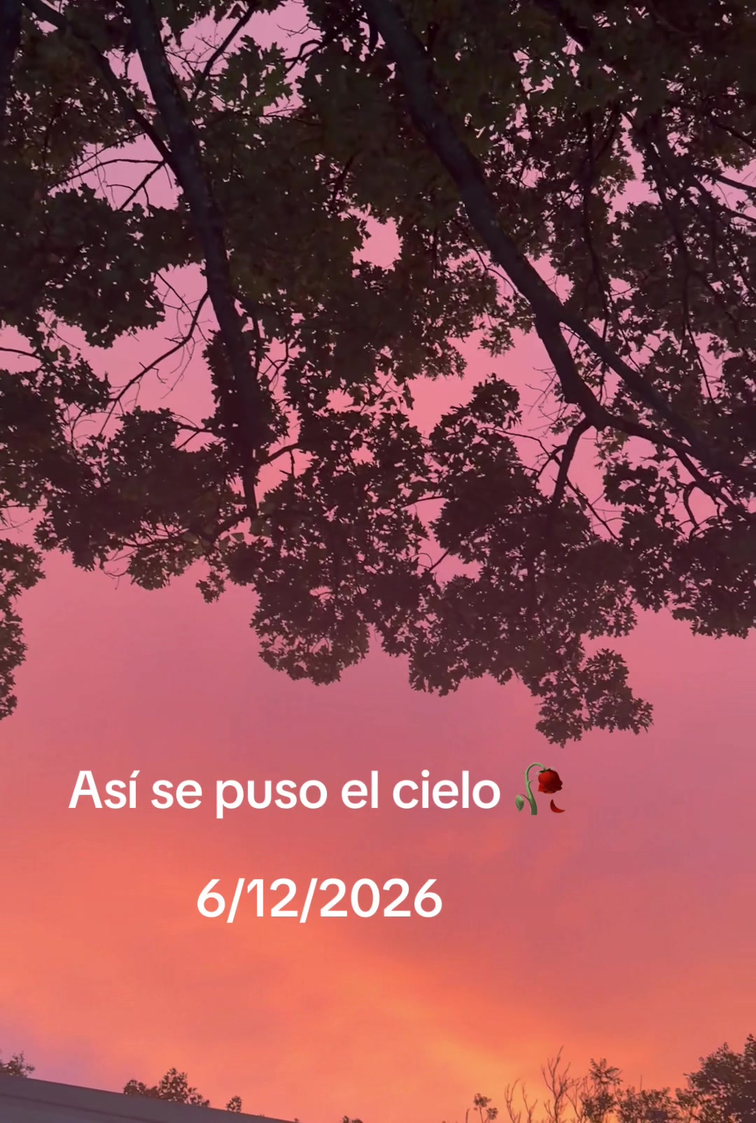 @Te espero en páginas no escrit