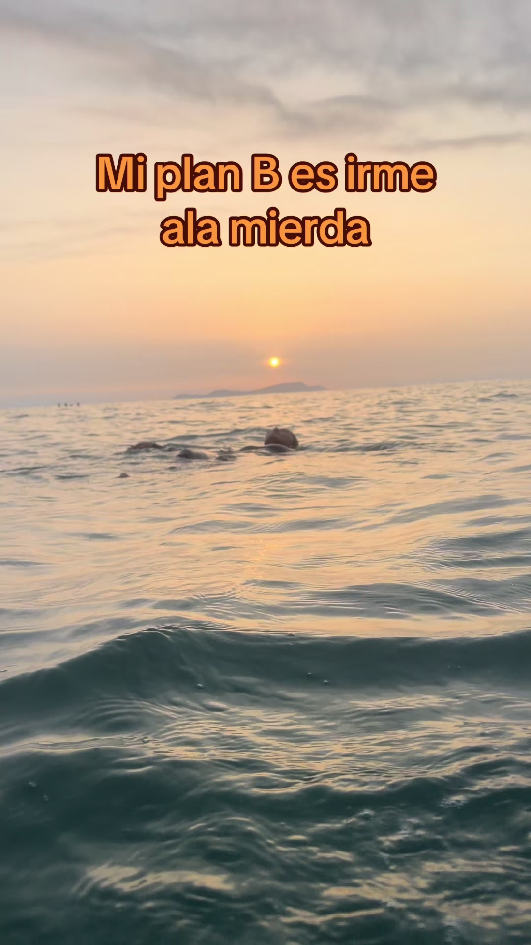 @Vilma Enriquez Gonzáles
