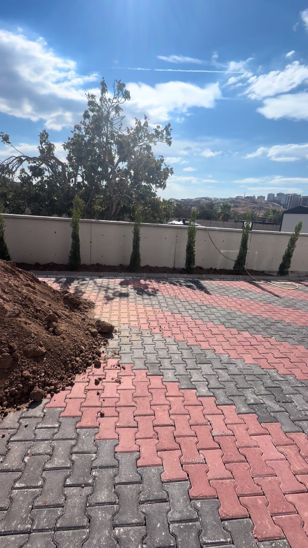 @Şeyhmus