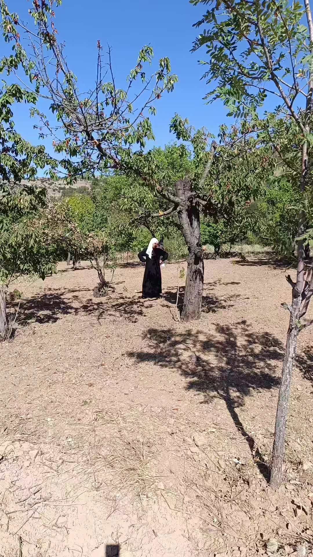 @Duran Karakaş